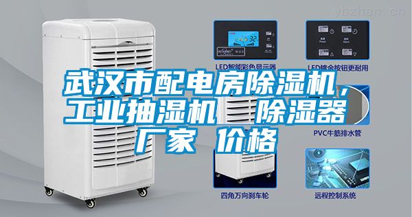 武漢市配電房除濕機(jī)，工業(yè)抽濕機(jī)  除濕器廠家 價(jià)格