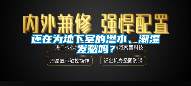 還在為地下室的滲水、潮濕發(fā)愁嗎？