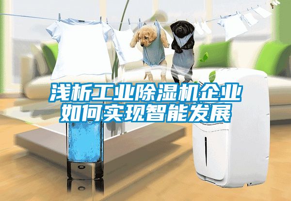 淺析工業(yè)除濕機企業(yè)如何實現(xiàn)智能發(fā)展