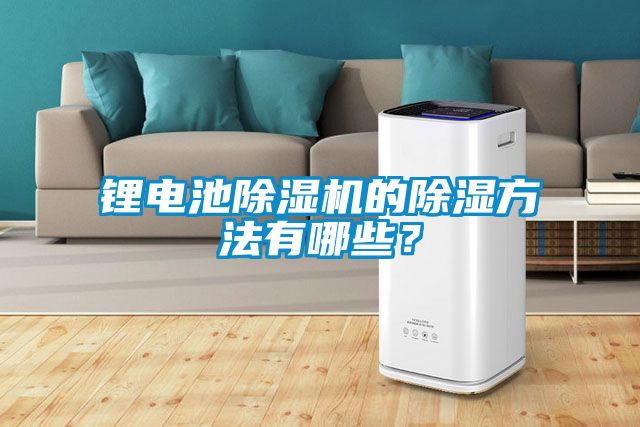 鋰電池除濕機(jī)的除濕方法有哪些？