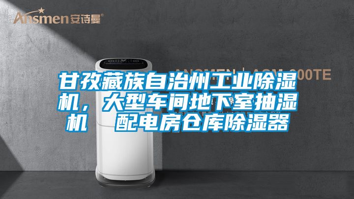 甘孜藏族自治州工業(yè)除濕機，大型車間地下室抽濕機  配電房倉庫除濕器