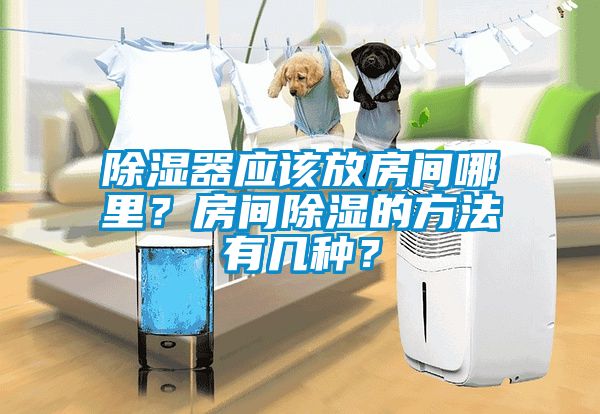 除濕器應(yīng)該放房間哪里？房間除濕的方法有幾種？