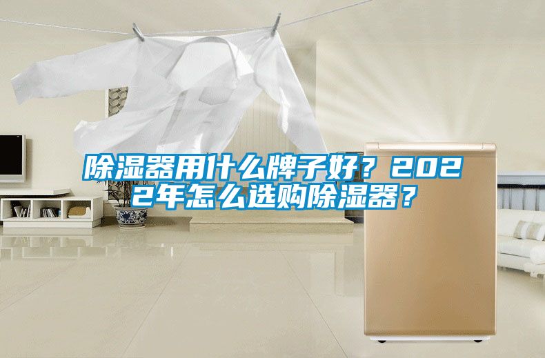 除濕器用什么牌子好？2022年怎么選購除濕器？