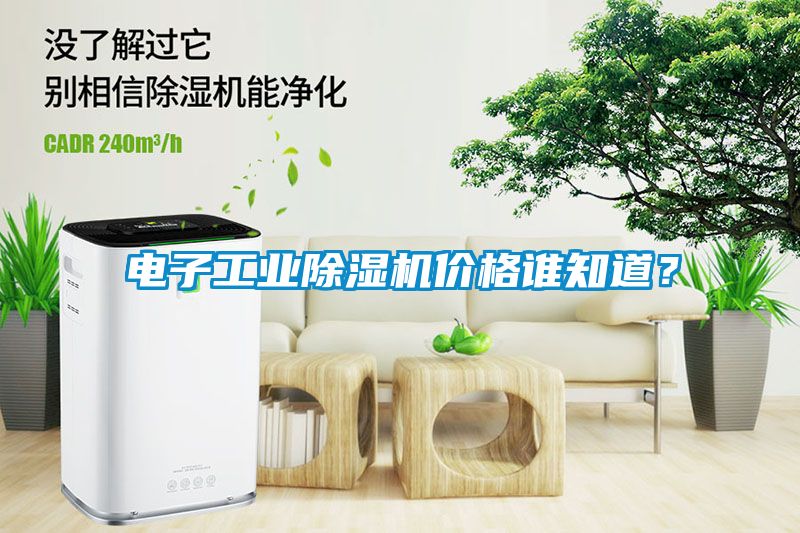 電子工業(yè)除濕機價格誰知道？