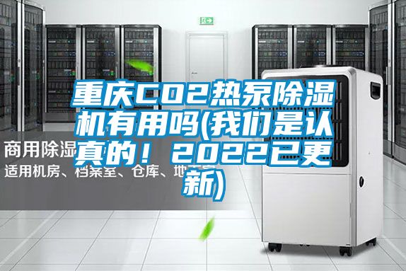 重慶CO2熱泵除濕機有用嗎(我們是認真的！2022已更新)