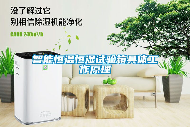 智能恒溫恒濕試驗(yàn)箱具體工作原理