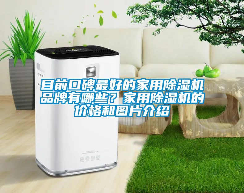 目前口碑最好的家用除濕機品牌有哪些？家用除濕機的價格和圖片介紹