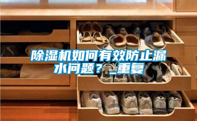 除濕機如何有效防止漏水問題？_重復