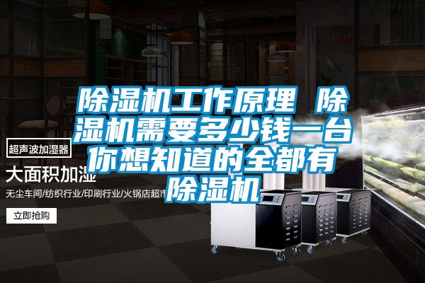 除濕機工作原理 除濕機需要多少錢一臺 你想知道的全都有 除濕機