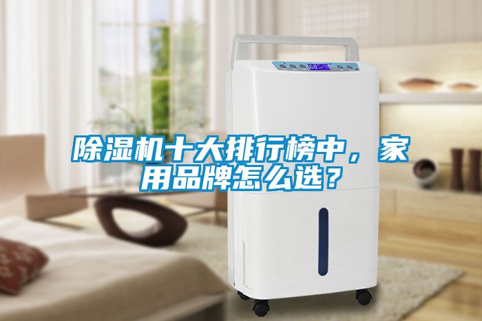 除濕機十大排行榜中，家用品牌怎么選？