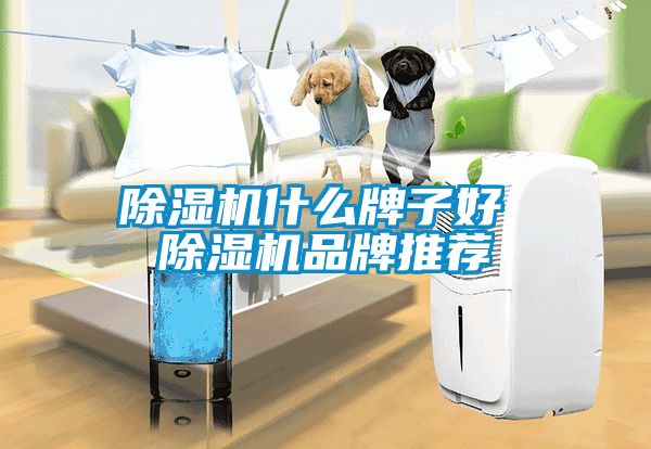 除濕機(jī)什么牌子好 除濕機(jī)品牌推薦