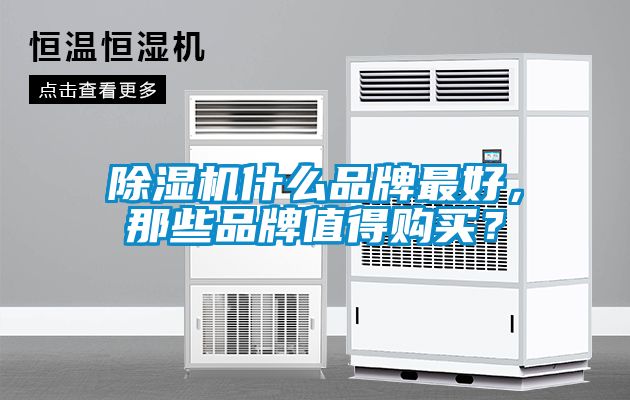 除濕機(jī)什么品牌最好，那些品牌值得購(gòu)買(mǎi)？