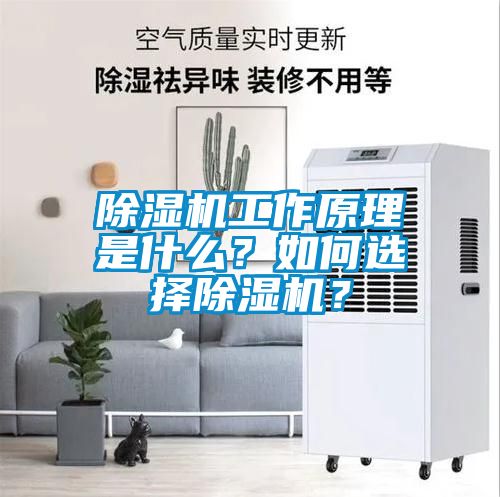 除濕機(jī)工作原理是什么？如何選擇除濕機(jī)？