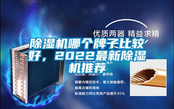 除濕機哪個牌子比較好，2022最新除濕機推薦