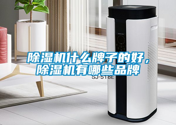 除濕機什么牌子的好，除濕機有哪些品牌