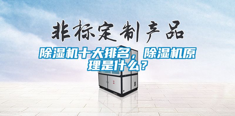 除濕機(jī)十大排名，除濕機(jī)原理是什么？