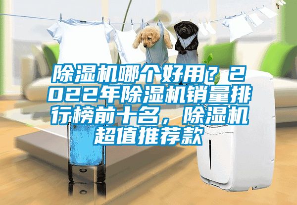 除濕機(jī)哪個(gè)好用？2022年除濕機(jī)銷量排行榜前十名，除濕機(jī)超值推薦款