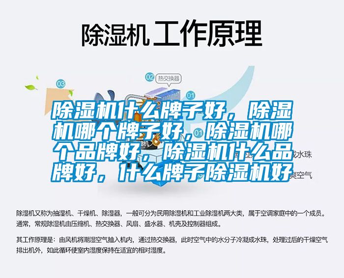 除濕機什么牌子好，除濕機哪個牌子好，除濕機哪個品牌好，除濕機什么品牌好，什么牌子除濕機好