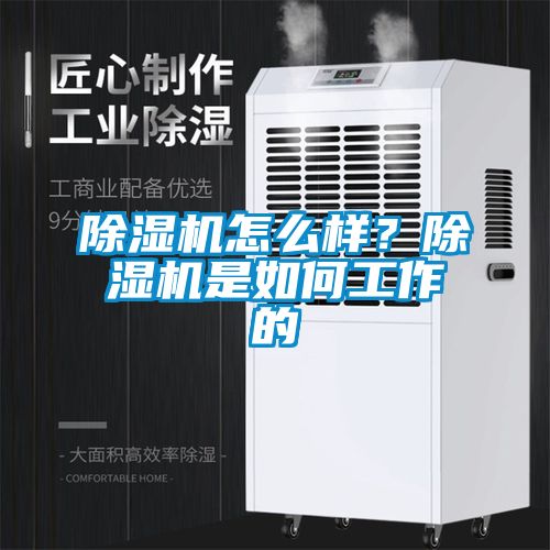 除濕機(jī)怎么樣？除濕機(jī)是如何工作的