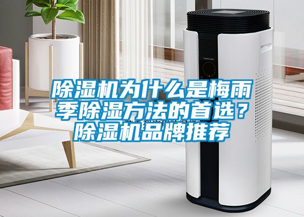 除濕機(jī)為什么是梅雨季除濕方法的首選？除濕機(jī)品牌推薦