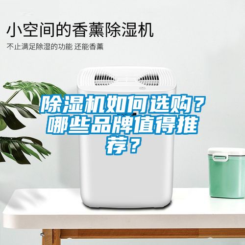 除濕機(jī)如何選購(gòu)？哪些品牌值得推薦？