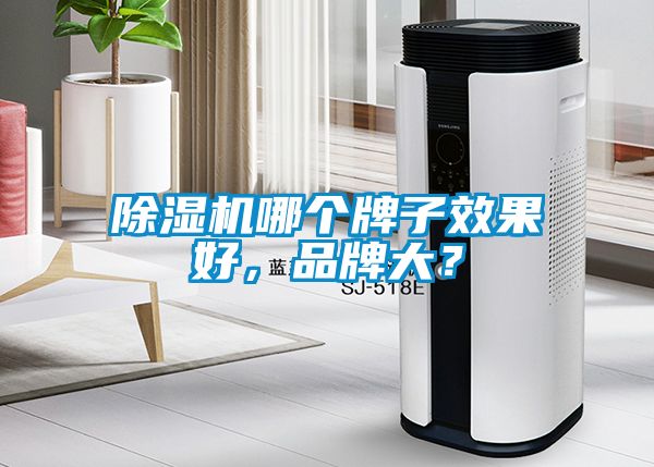 除濕機哪個牌子效果好，品牌大？