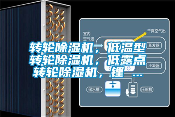 轉(zhuǎn)輪除濕機，低溫型轉(zhuǎn)輪除濕機，低露點轉(zhuǎn)輪除濕機，鋰 ...