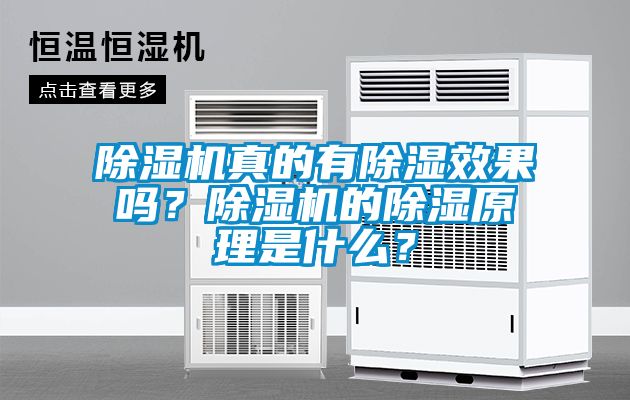 除濕機真的有除濕效果嗎？除濕機的除濕原理是什么？