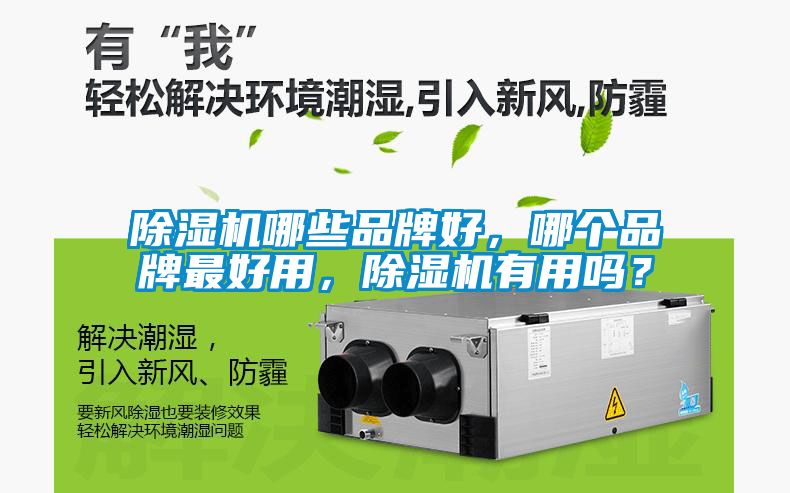 除濕機哪些品牌好，哪個品牌最好用，除濕機有用嗎？