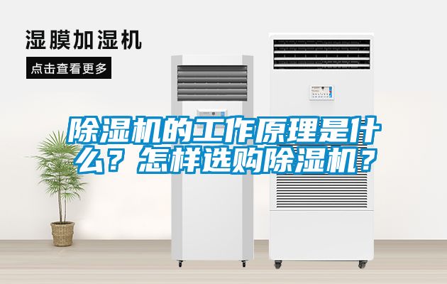 除濕機(jī)的工作原理是什么？怎樣選購除濕機(jī)？