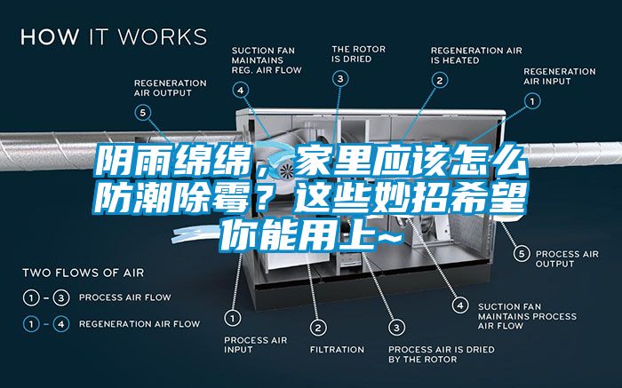 陰雨綿綿，家里應(yīng)該怎么防潮除霉？這些妙招希望你能用上~