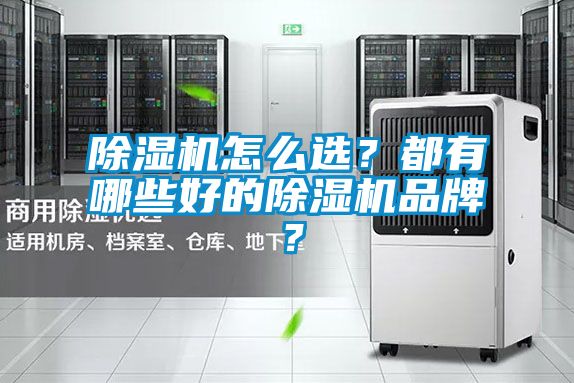 除濕機怎么選？都有哪些好的除濕機品牌？