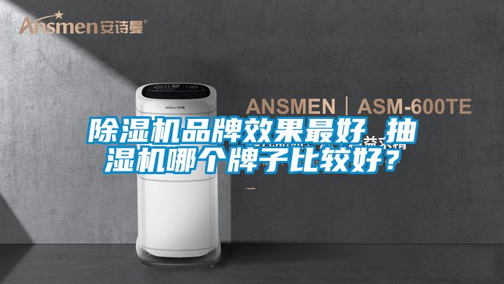 除濕機品牌效果最好 抽濕機哪個牌子比較好？