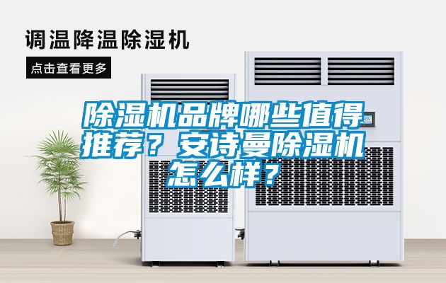 除濕機品牌哪些值得推薦？安詩曼除濕機怎么樣？