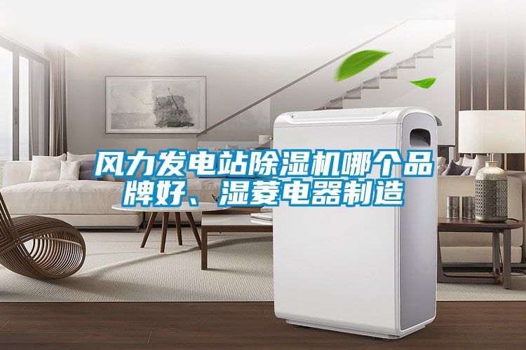 風(fēng)力發(fā)電站除濕機(jī)哪個品牌好、濕菱電器制造