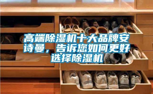 高端除濕機十大品牌安詩曼，告訴您如何更好選擇除濕機