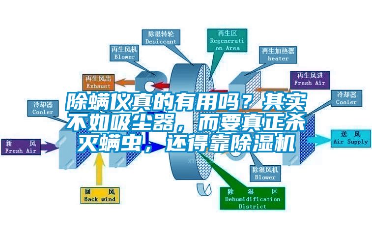 除螨儀真的有用嗎？其實不如吸塵器，而要真正殺滅螨蟲，還得靠除濕機