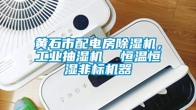 黃石市配電房除濕機，工業(yè)抽濕機  恒溫恒濕非標機器